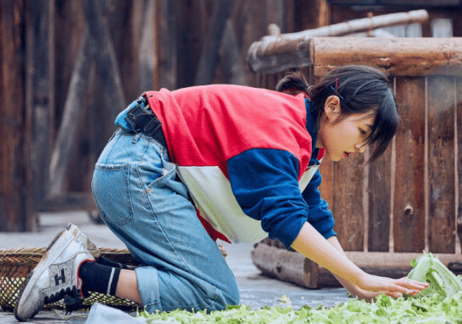 #张子枫#向往的生活:为何张子枫在节目中频繁的喝牛奶?真实原因惹人心疼