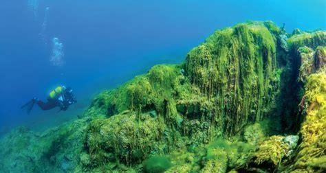 [贝加尔湖]贝加尔湖淡水资源占全球20%，却为何有海洋生物？