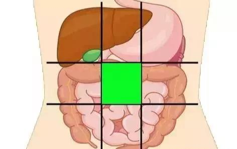 「疾病」一张腹部地图，告诉你腹部疼痛对应哪个器官，终身有益