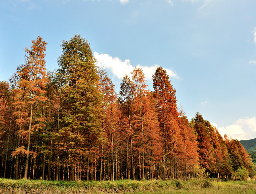 江浙沪|江浙沪地区的“世外桃源”，你想要的小众美景都在这里，晒圈体验都不错！