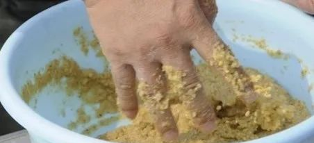 「鳊鱼」钓鱼打窝的方法与步骤——盛世三渔