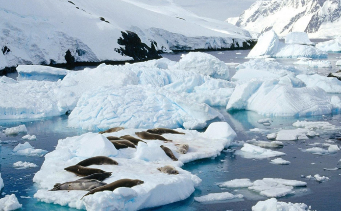 全球变暖：北极发现4.6万年前的“尸体”，事情不简单，人类将面临更大的灾难