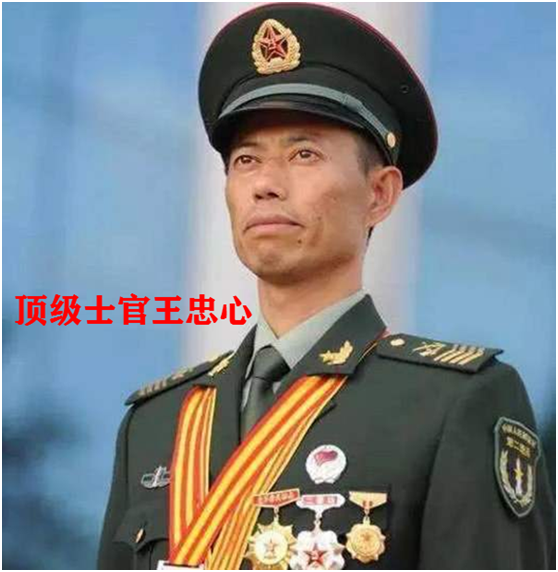 [高校]报名直接当士官，高校毕业生福利来了，涉及本专科270余个专业