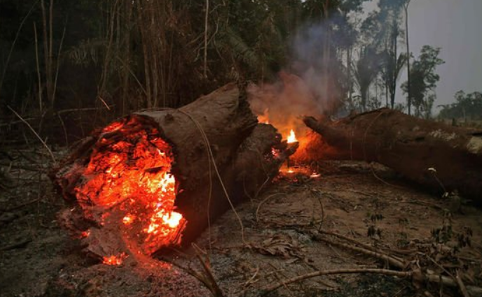 「科学家」2020年灾难不断，幕后黑手到底是谁？科学家或找到源头！