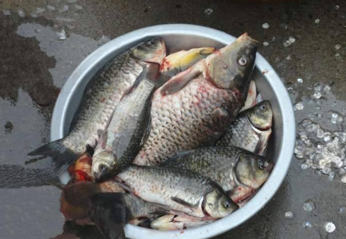 @世界上最“脏”的3种鱼！超多寄生虫，很多人不懂，还经常吃