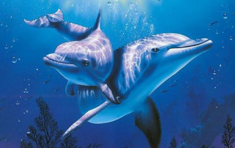 海豚|假如人类在地球消失了，哪种动物最可能统领地球？科学家揭秘答案