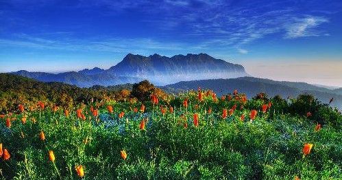 []4号开始，横财运缠身，财富如雨躲不掉，好运势一步登天3生肖