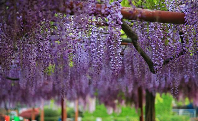 生肖■5月16日，出门遇贵人，喜事连连，横财连发，一顺百顺的3生肖