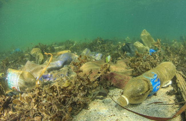 「」人类消失后,地球会变成什么样子?我国一无人村就是最好的例子