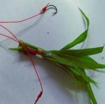 |钓草鱼的三种饵料用法及利弊分析——盛世三渔