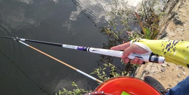 鲤鱼|夏钓鲤鱼速成法则！（你不得不掌握的钓鱼知识）