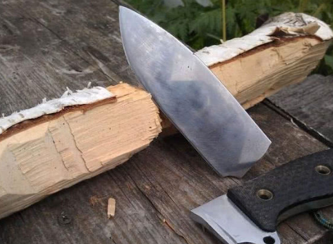 科学家|世界上最硬的树，比钢铁还硬，子弹都打不穿，科学家至今解开它的秘密