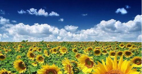 双子座@6月4号开始,好事多多,2020年开开心心数大钱的3大生肖