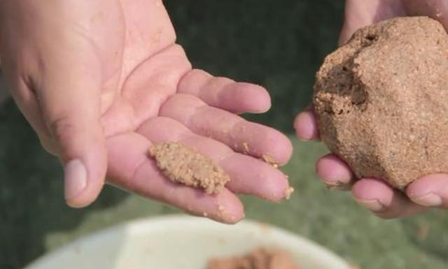 『』夏天热，我只想用这套一试就灵的钓法，不吹不黑，隔三五天就想钓