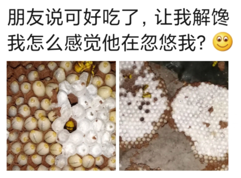 |“朋友说可好吃了，让我也来解解馋，我怎么感觉他在忽悠我？”