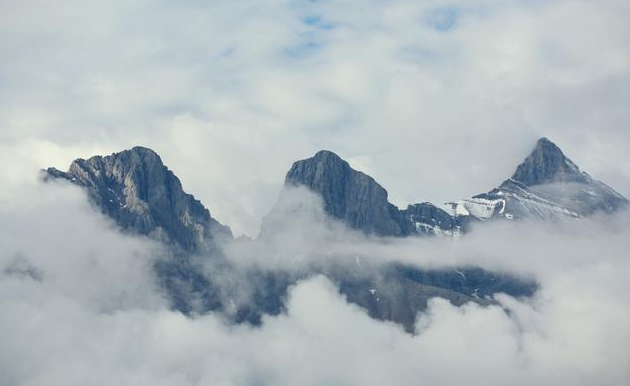 『属鸡』再穷不过5月底，21号开始财运飙涨，横财大发，钞票堆成山3生肖