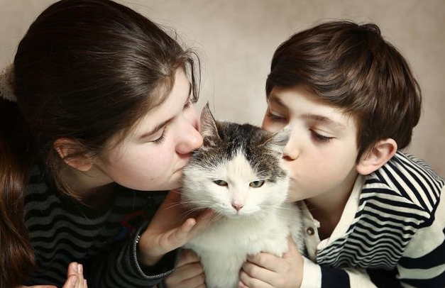 亲戚来了，他家的小孩害怕猫咪，不想把猫咪关在别的屋子，可以这样做。