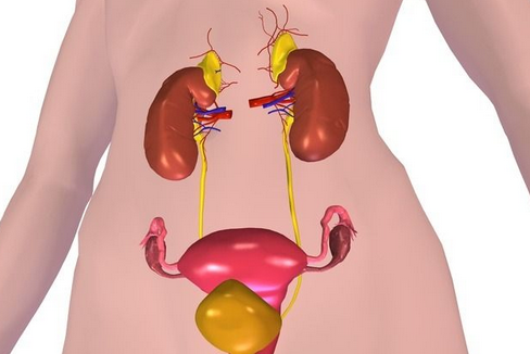 「尿毒症」尿毒症出现前，身体会有这几个征兆，千万别大意！