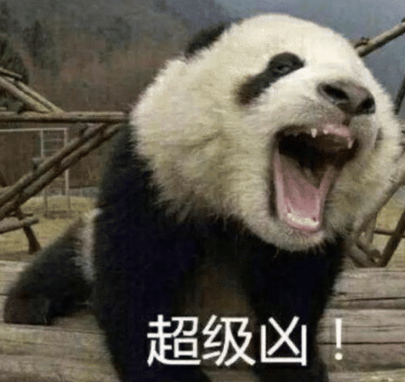 老虎|狮子和老虎为何从不吃大熊猫?熊猫:看清楚老子以前叫啥