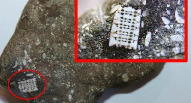 【外星文明】科学家发现2.5亿年前的电脑芯片,难道是外星文明留下的?细思极恐