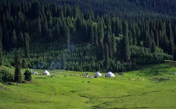 天山:新疆独库公路旁,总被忽视的天山胜景-巴音沟
