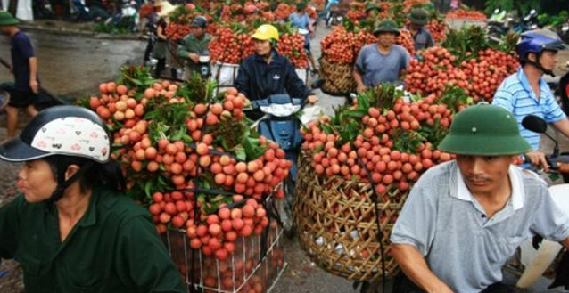 越南|出口额持续下降,获得欧洲市场“门票”后,主动抛弃中国市场