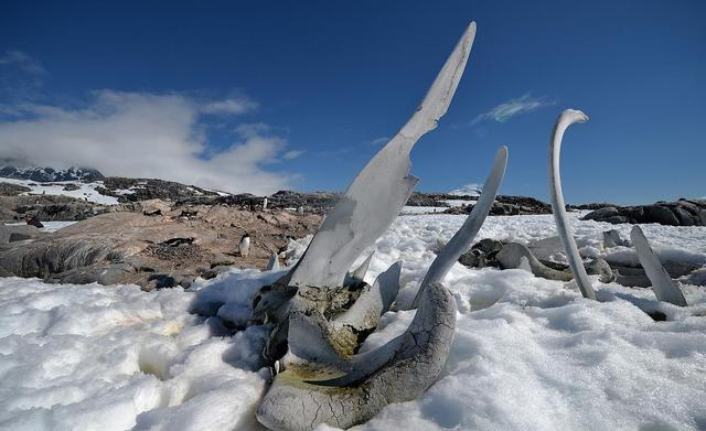 『恒星』零下273.15℃绝对零度有多么的可怕？时间跟空间纷纷失去了意义