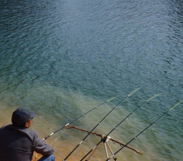 饵料|黑坑钓鱼“必杀技”麻团钓法的应用技巧分析，上鱼速度没话说