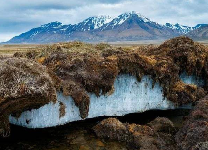 「科学家」北极永冻土解冻，发现14300年前生物，人类真的该清醒一下了！