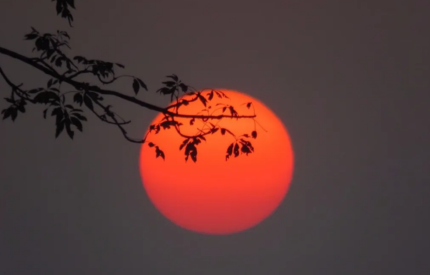 「」容易大起大落的几种八字