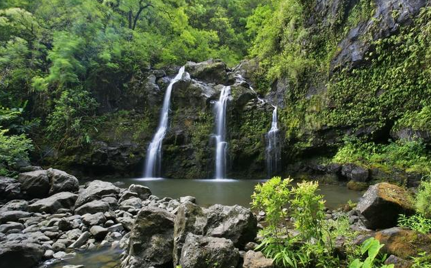 「生肖」熬过大难！31号开始，财运紫气东来，一顺百顺，大富特富的3生肖