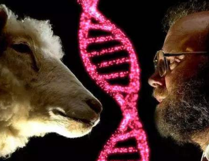 「科学家」为何如今科学家不再提及克隆技术了？看看克隆羊的一生，沉默了！