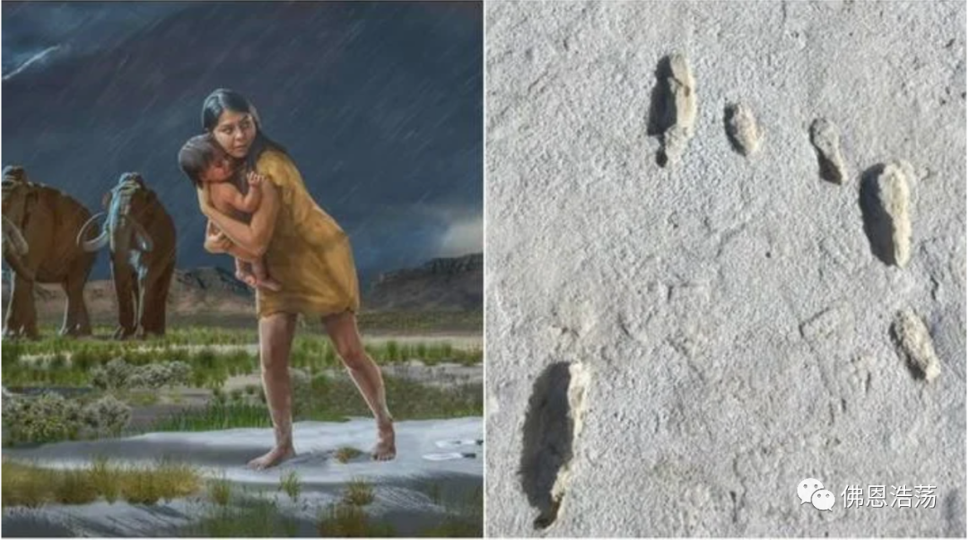 三叶虫|人类起源大翻转!美国惊现1万年前母子足迹