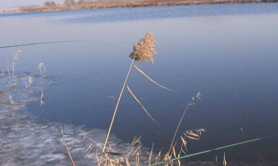 饵料|冬季野钓的4个小技巧，你钓不到鱼的原因找到了