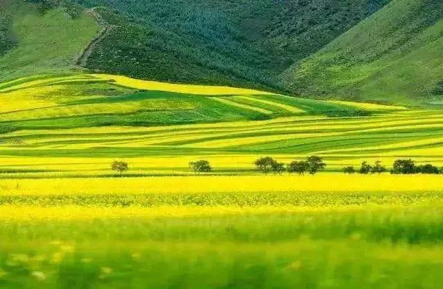 【318国道】中国最美公路 此生必走的路线