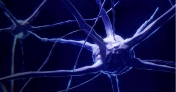 科学家|人类为什么没有三岁之前的记忆？说了你也许都不相信