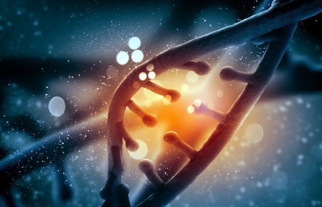 「基因」如果有一天人类实现了永生，地球会变成什么样？可能会是一场灾难