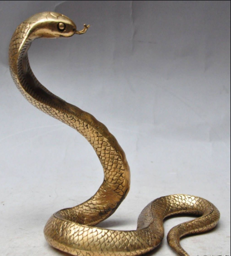 『眼镜蛇』帝皇眼镜蛇王有多强？若没有防护设备，就连毒蛇专家也不敢接近