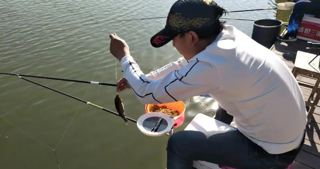 『』夏天钓鱼小杂鱼闹窝的原因和解决办法——盛世三渔