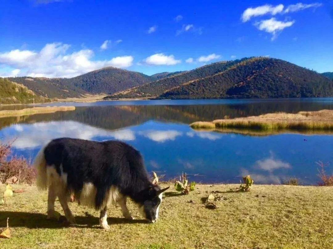「」六月份值得一去的地方,赶快收藏起来吧!
