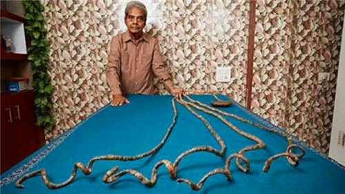 #印度#他66年没剪指甲，将9米长指甲捐给博物馆后，不料却有了意外变化