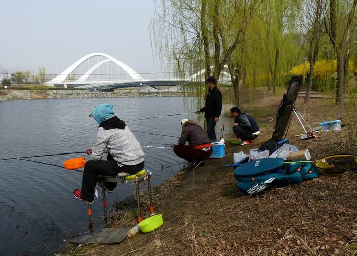 鲤鱼|钓鱼不要再聚堆了,老钓位有哪些缺点?快来了解一下