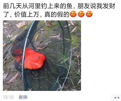 |“从河里钓上来的，朋友说价值上万...”哈哈哈运气未免也太好了