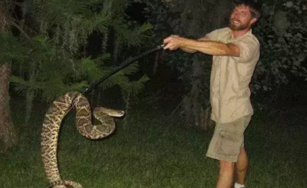 【宇航员】地球上六大体型最大的毒蛇, 黑曼巴第4, 第一仅中国有