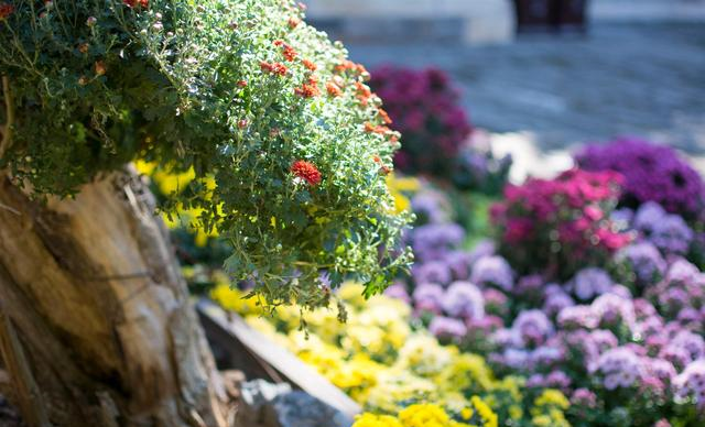 微信：有多少熟悉的陌生人，成了微信“好友”