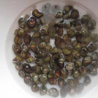 |秋天钓鱼应注意什么？选对方法和饵料很重要！