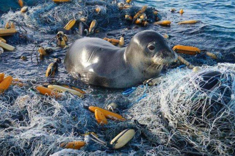 科学家|11034米“马里亚纳海沟”，科学家最不想看到的东西，终究逃不过！