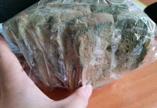 面包|“老妈买了巧克力面包也不告诉我，吃了一半咋感觉有点上头？”