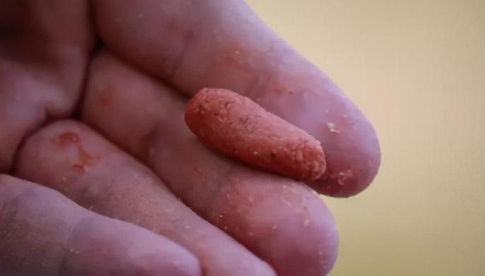 钓鱼技巧|适合钓鱼新手的开饵技巧和搓饵常见的问题，手把手教你开出好饵料