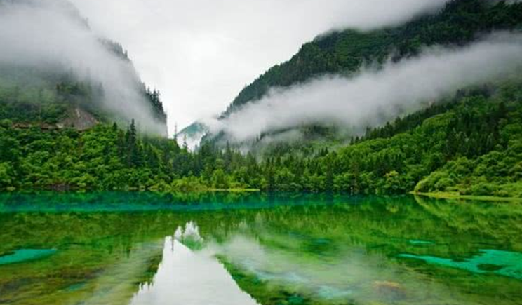 鼓浪屿■“520”最值得去的10个地方